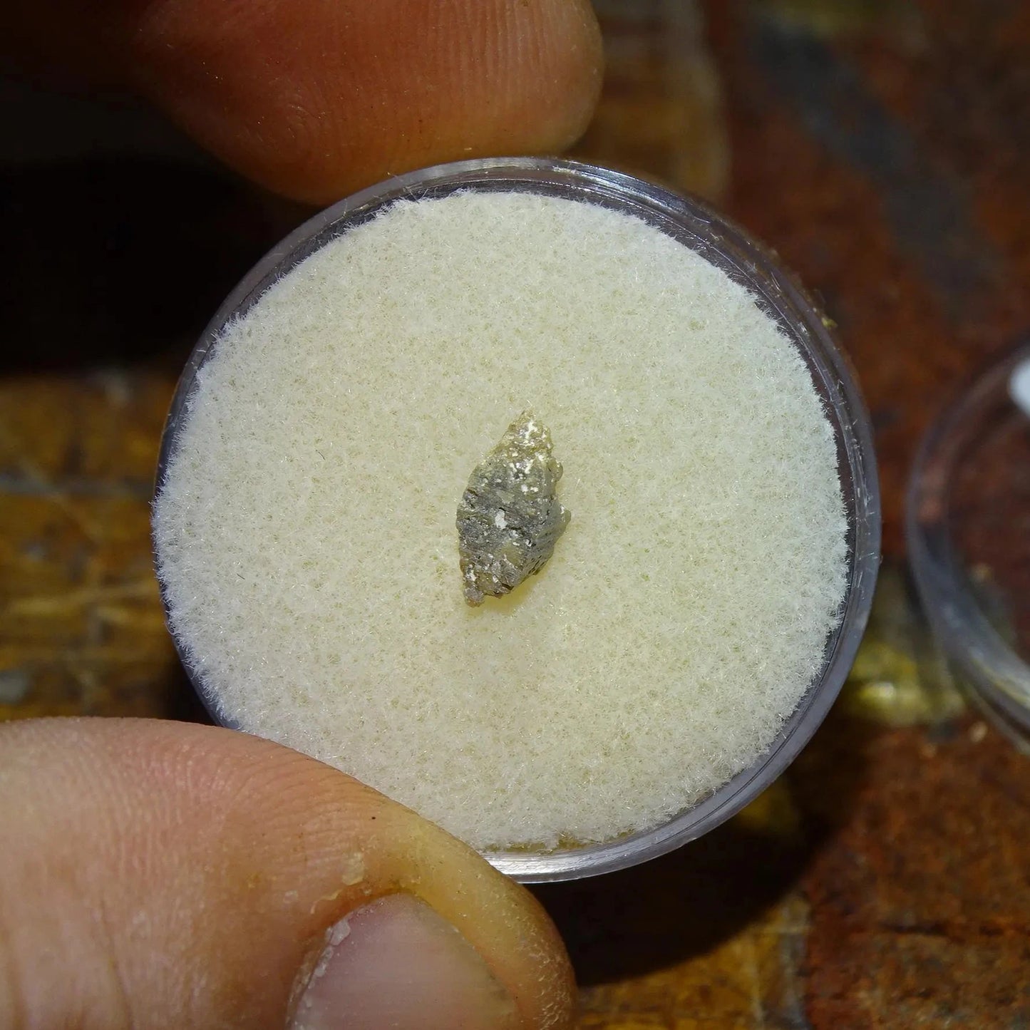 Anatase Diamantina, 8 mm x 3,3 x 3,3 - 1 gramme environ. Beau spécimen, cristaux parfois teintés de bleu (Titane) ou d’or !