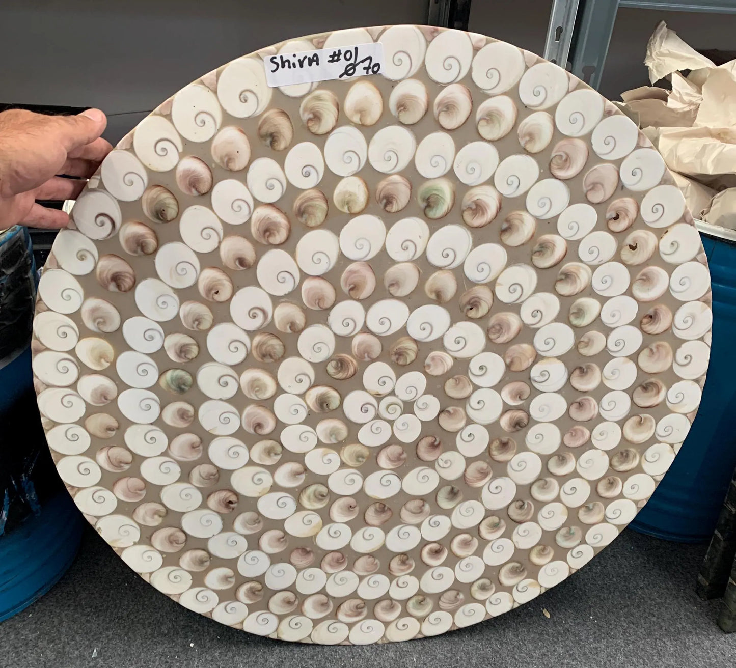 Table Ronde en coqullage d'oeil de Sanite-Lucie, 70 x 3 cm. Parfait pour fabriquer la table de vos rêves ou en décoration, exposition...