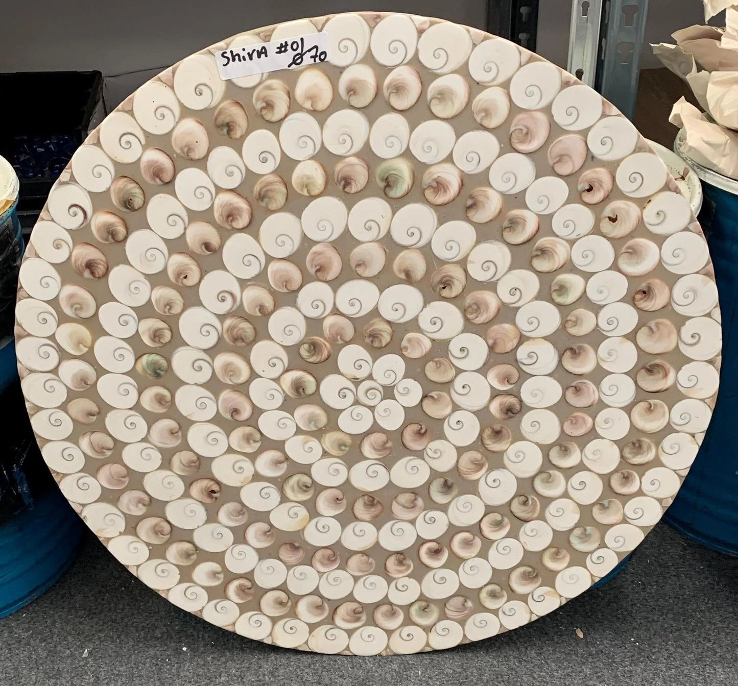 Table Ronde en coqullage d'oeil de Sanite-Lucie, 70 x 3 cm. Parfait pour fabriquer la table de vos rêves ou en décoration, exposition...