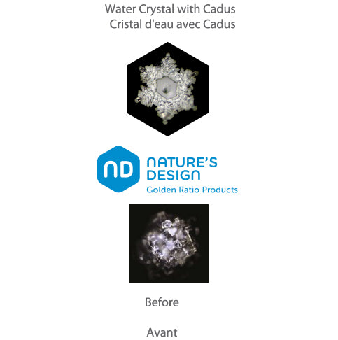 Carafe avec couvercle, modèle 'Cadus' de chez Nature's design. Contenance de 1 litre. Verre sans plomb, conçu suivant le nombre d'or, avec un renflement dans son fond où vous pourrez placer les pierres précieuses !