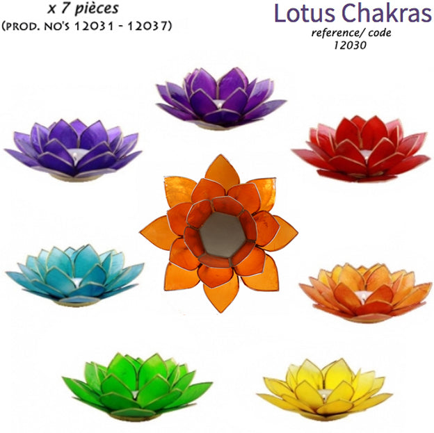 Selection of 'Lotus' candle holders made of capiz shell, 13.5 centimeters x 5.5 centimeters high. Magnificent colors, incredible effects, perfect!
