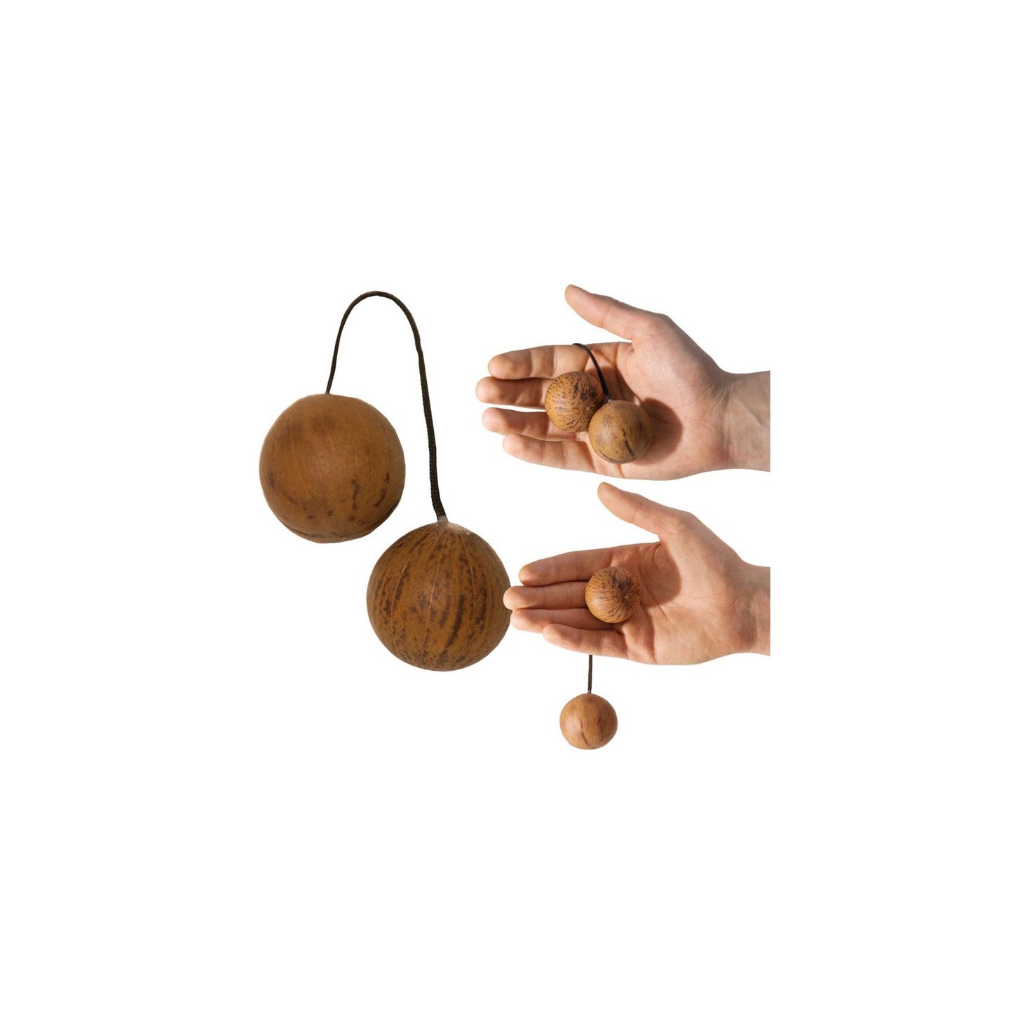 Thélevi ou Asratoa, hochet/ shaker africain composé de deux boules en bois de seet reliées par une ficelle. Longueur de la ficelle : 12-13 cm.. Parfait pour l'accompagnement, pour battre la mesure ! Un son entrainant et hypnotisant ! (Copie)