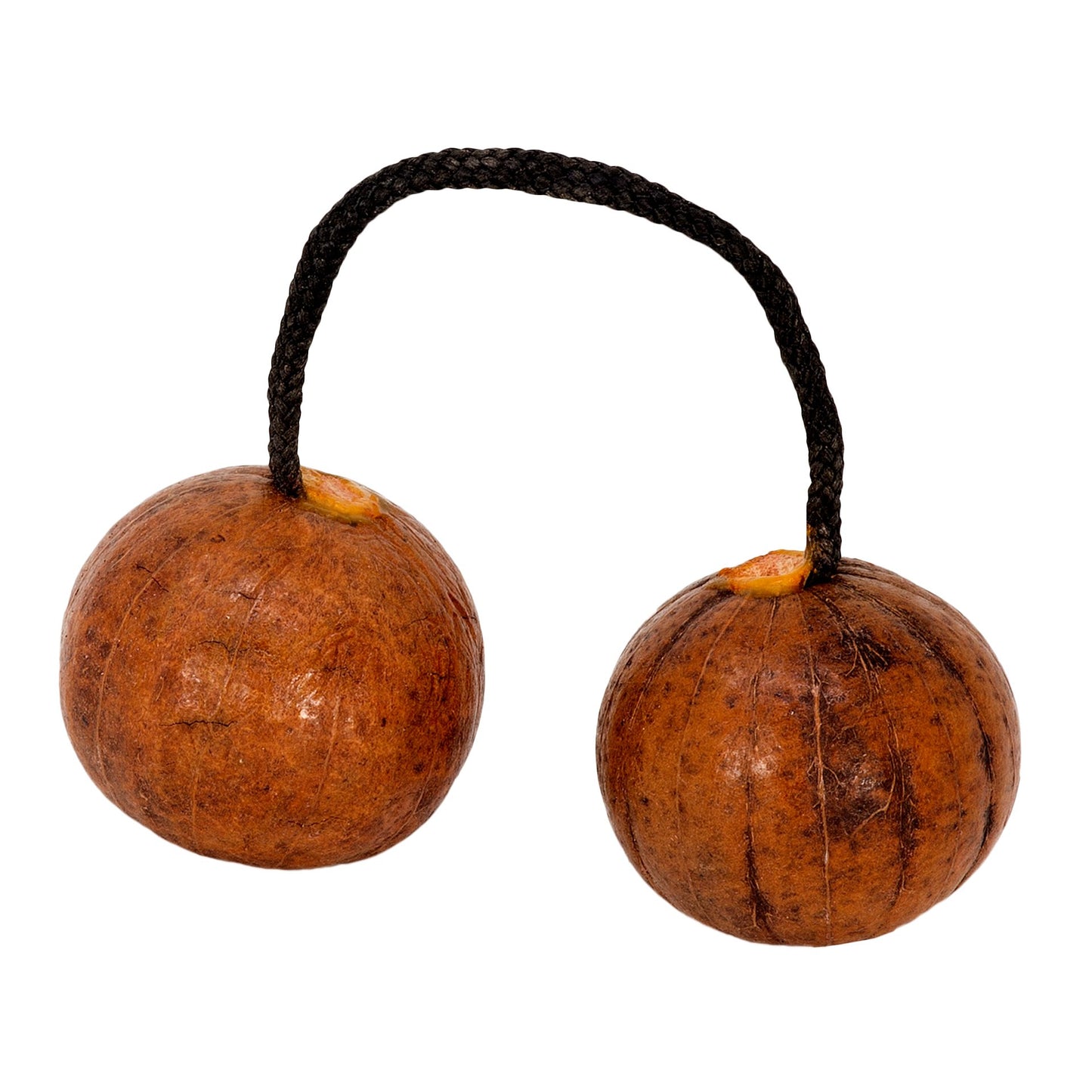Thélevi ou Asratoa, hochet/ shaker africain composé de deux boules en bois de seet reliées par une ficelle. Longueur de la ficelle : 12-13 cm.. Parfait pour l'accompagnement, pour battre la mesure ! Un son entrainant et hypnotisant ! (Copie)
