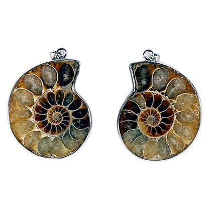 Joli pendentif en fossile d'Ammonite avec une structure de métal (laiton). Environ 3,5 centimètres de diamètre ! Vendu avec ou sans cordon noir et réglable de 60 cm !
