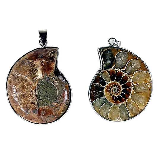 Joli pendentif en fossile d'Ammonite avec une structure de métal (laiton). Environ 3,5 centimètres de diamètre ! Vendu avec ou sans cordon noir et réglable de 60 cm !