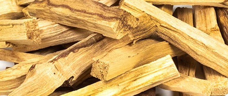 Palo Santo, sacred incense from Peru, sold individually, in packs of 20, 100, 500 grams, or 1 or 3 kilograms! A high-quality, renowned and effective incense!
