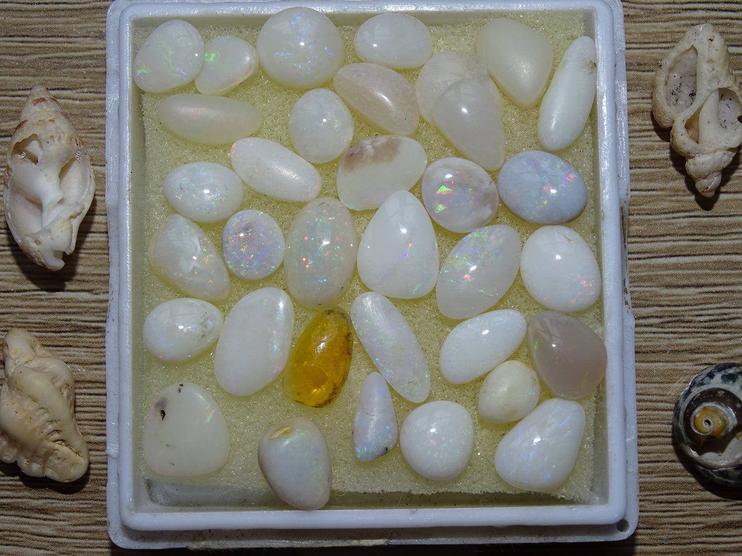 Opale Welo d’Éthiopie, les plus belles des opales. Incroyable reflets multicolore, superbes pièces, parfait pour vos créations, collections, exposition...!