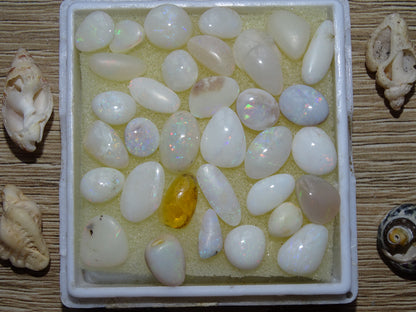 Opale Welo d’Éthiopie, les plus belles des opales. Incroyable reflets multicolore, superbes pièces, parfait pour vos créations, collections, exposition...!
