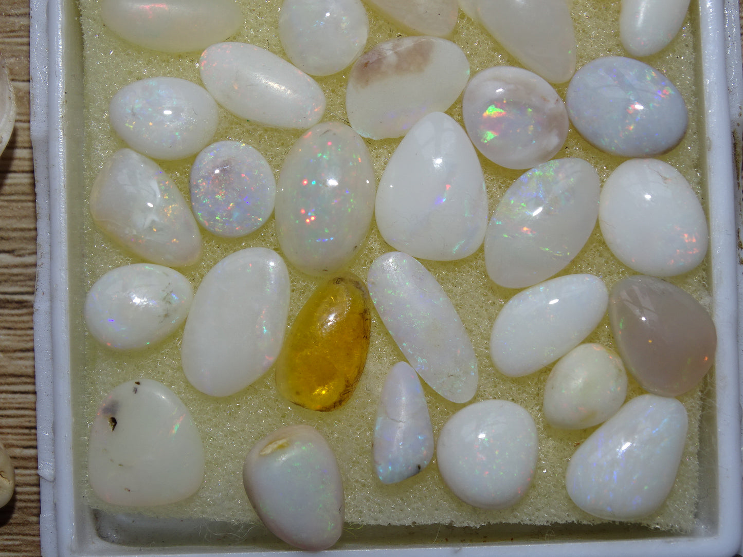 Opale Welo d’Éthiopie, les plus belles des opales. Incroyable reflets multicolore, superbes pièces, parfait pour vos créations, collections, exposition...!