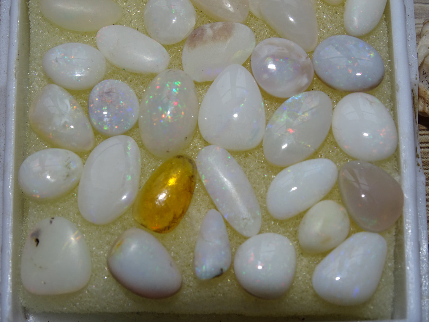 Opale Welo d’Éthiopie, les plus belles des opales. Incroyable reflets multicolore, superbes pièces, parfait pour vos créations, collections, exposition...!
