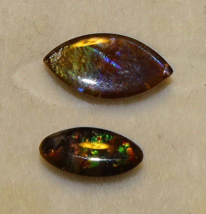 Ammolites 'véritables', 2 pièces au choix de 0,9x0,4x0,1 et 12x0,5x0,2 mm, magnifiques reflets multicolores, très belles pièces, parfait en bijouterie, collection ,exposition...