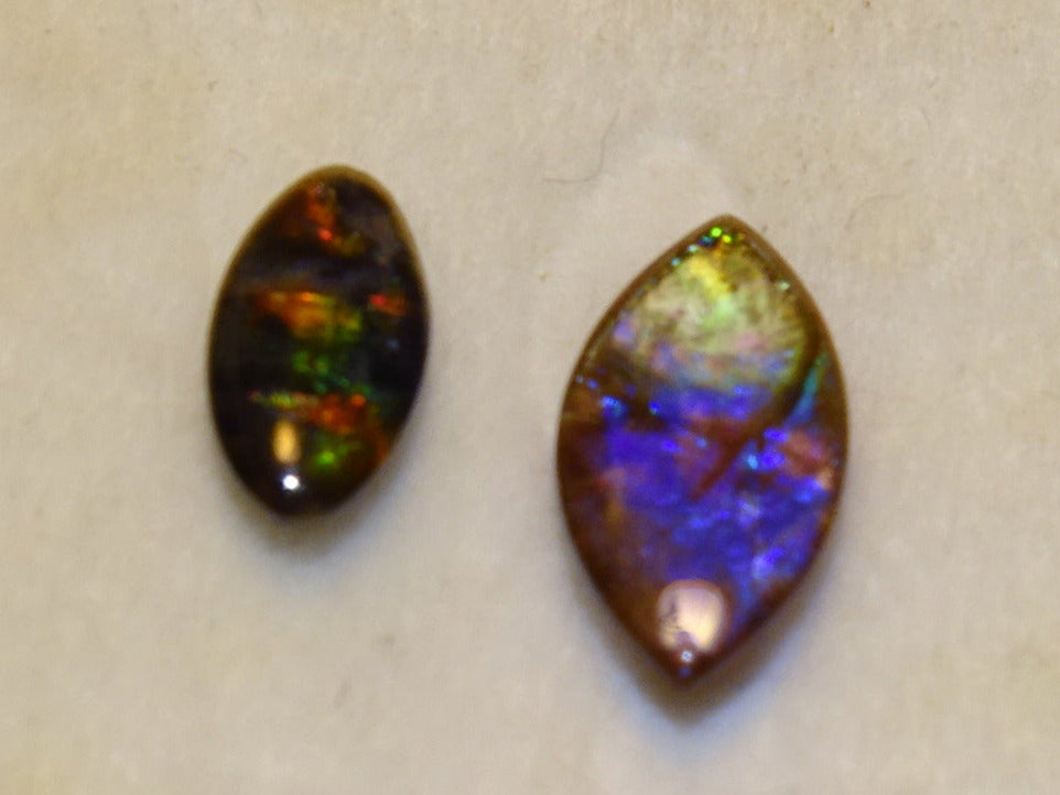 Ammolites 'véritables', 2 pièces au choix de 0,9x0,4x0,1 et 12x0,5x0,2 mm, magnifiques reflets multicolores, très belles pièces, parfait en bijouterie, collection ,exposition...