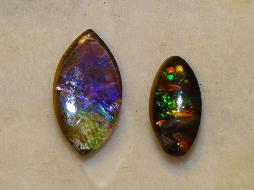 Ammolites 'véritables', 2 pièces au choix de 0,9x0,4x0,1 et 12x0,5x0,2 mm, magnifiques reflets multicolores, très belles pièces, parfait en bijouterie, collection ,exposition...