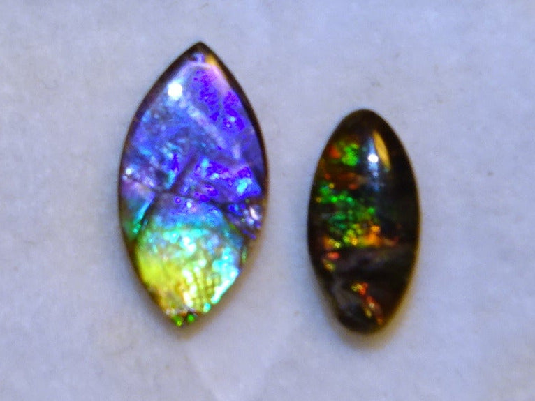 Ammolites 'véritables', 2 pièces au choix de 0,9x0,4x0,1 et 12x0,5x0,2 mm, magnifiques reflets multicolores, très belles pièces, parfait en bijouterie, collection ,exposition...