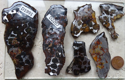 Sélection de météorites Pallasites Sericho, de 6 à 40 gr. Se distinguent par la présence de gros cristaux d'olivine en inclusion dans la matrice, magnifique !