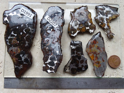 Sélection de météorites Pallasites Sericho, de 6 à 40 gr. Se distinguent par la présence de gros cristaux d'olivine en inclusion dans la matrice, magnifique !