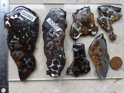 Sélection de météorites Pallasites Sericho, de 6 à 40 gr. Se distinguent par la présence de gros cristaux d'olivine en inclusion dans la matrice, magnifique !