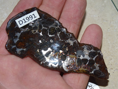 Sélection de météorites Pallasites Sericho, de 6 à 40 gr. Se distinguent par la présence de gros cristaux d'olivine en inclusion dans la matrice, magnifique !