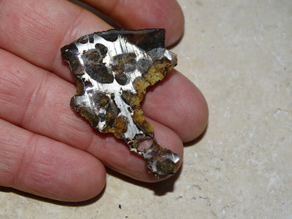 Sélection de météorites Pallasites Sericho, de 6 à 40 gr. Se distinguent par la présence de gros cristaux d'olivine en inclusion dans la matrice, magnifique !