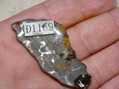 Sélection de météorites Pallasites Sericho, de 6 à 40 gr. Se distinguent par la présence de gros cristaux d'olivine en inclusion dans la matrice, magnifique !