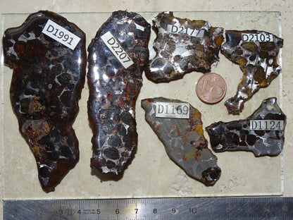 Sélection de météorites Pallasites Sericho, de 6 à 40 gr. Se distinguent par la présence de gros cristaux d'olivine en inclusion dans la matrice, magnifique !
