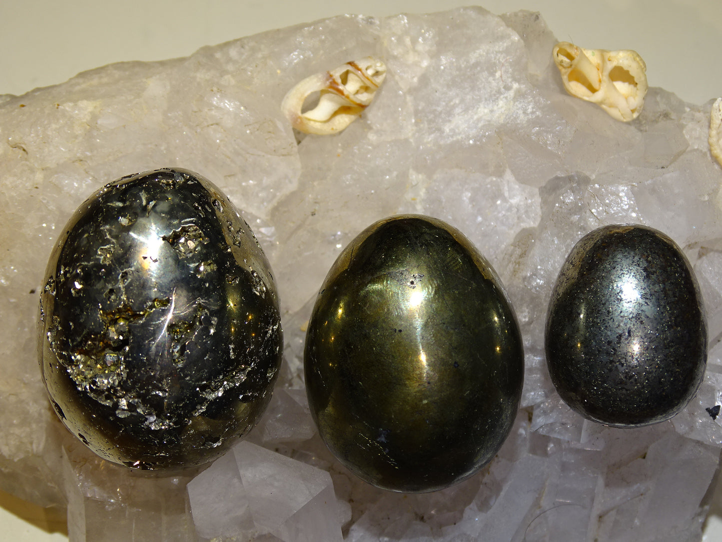 Sélection d'oeufs en pyrite et chalcopyrite, de 45 à 146 grammes, de 30 à 47 millimètres de diamètre. Très belle qualité, parfait pour la lithothérapie, collection, exposition...!