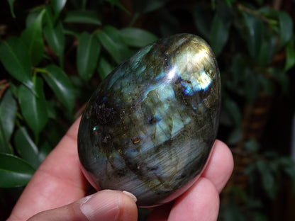 Oeuf en labradorite, 70 millimètres de hauteur x 50 de diamètre - 243 grammes. Très belle qualité, parfait pour une collection !