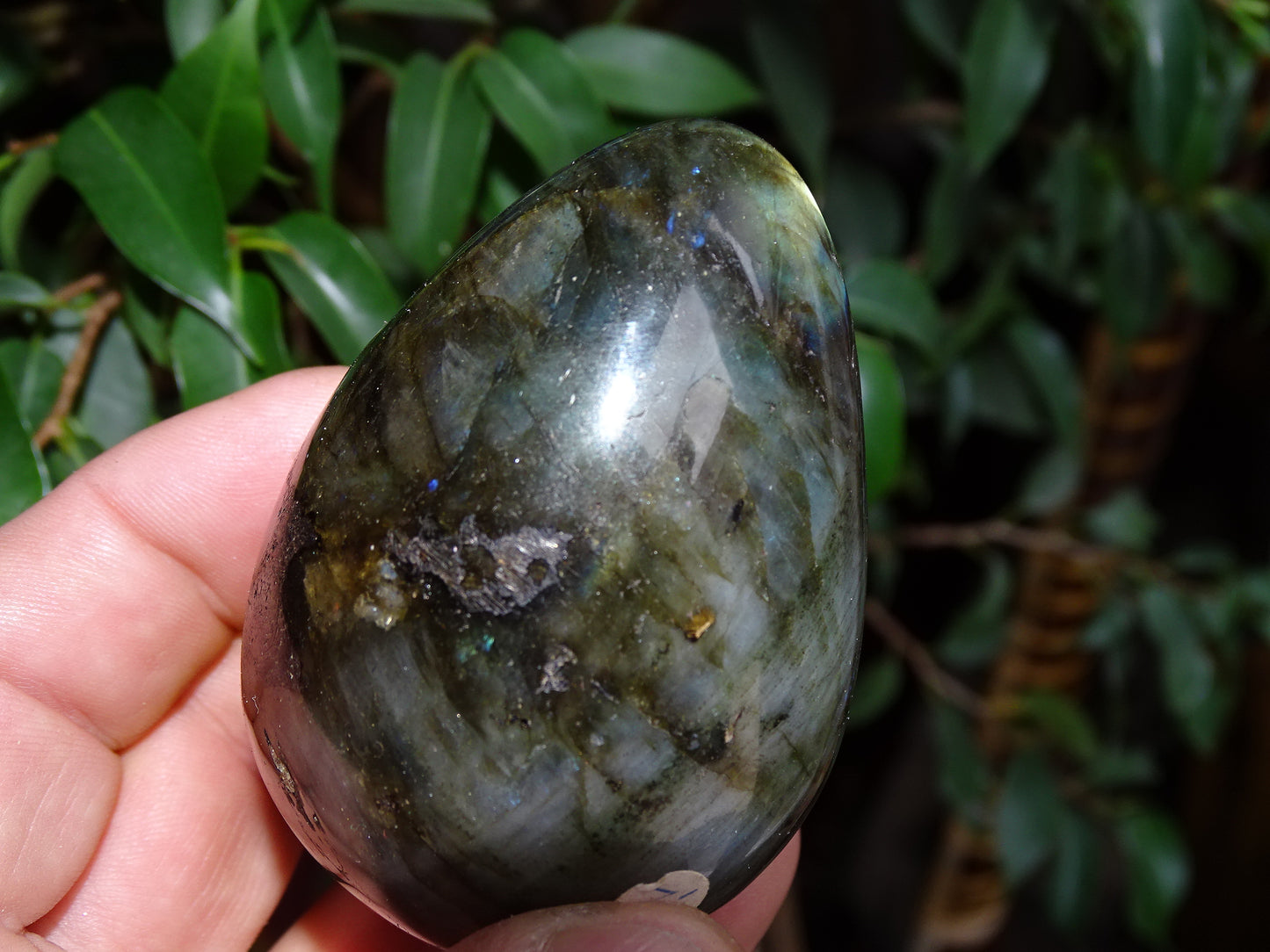 Oeuf en labradorite, 70 millimètres de hauteur x 50 de diamètre - 243 grammes. Très belle qualité, parfait pour une collection !