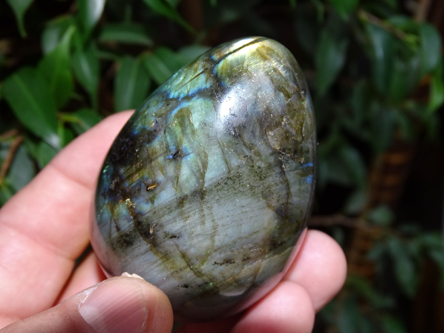 Oeuf en labradorite, 70 millimètres de hauteur x 50 de diamètre - 243 grammes. Très belle qualité, parfait pour une collection !
