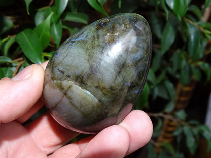 Oeuf en labradorite, 70 millimètres de hauteur x 50 de diamètre - 243 grammes. Très belle qualité, parfait pour une collection !