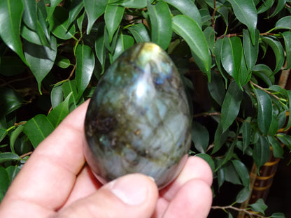 Oeuf en labradorite, 70 millimètres de hauteur x 50 de diamètre - 243 grammes. Très belle qualité, parfait pour une collection !