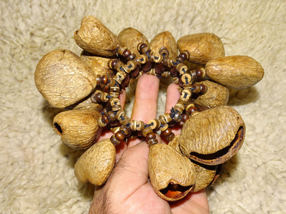 Selection of seed dance bracelets, models to choose from, handcrafted, perfect for accompaniment, fascinating and captivating sounds!...Seeds/nuts: Juju Chacha Pangui Pala Kemiri Tropical beans!