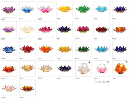 Selection of 'Lotus' candle holders made of capiz shell, 13.5 centimeters x 5.5 centimeters high. Magnificent colors, incredible effects, perfect!