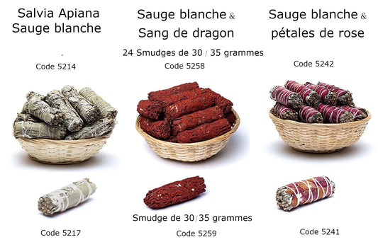 A selection of white sage sold in smudges (bouquets) of 25/30 gr. or in packs of 24 smudges. 3 fragrances to choose from: 100% natural - Dragon's Blood - Rose. Perfect! 
