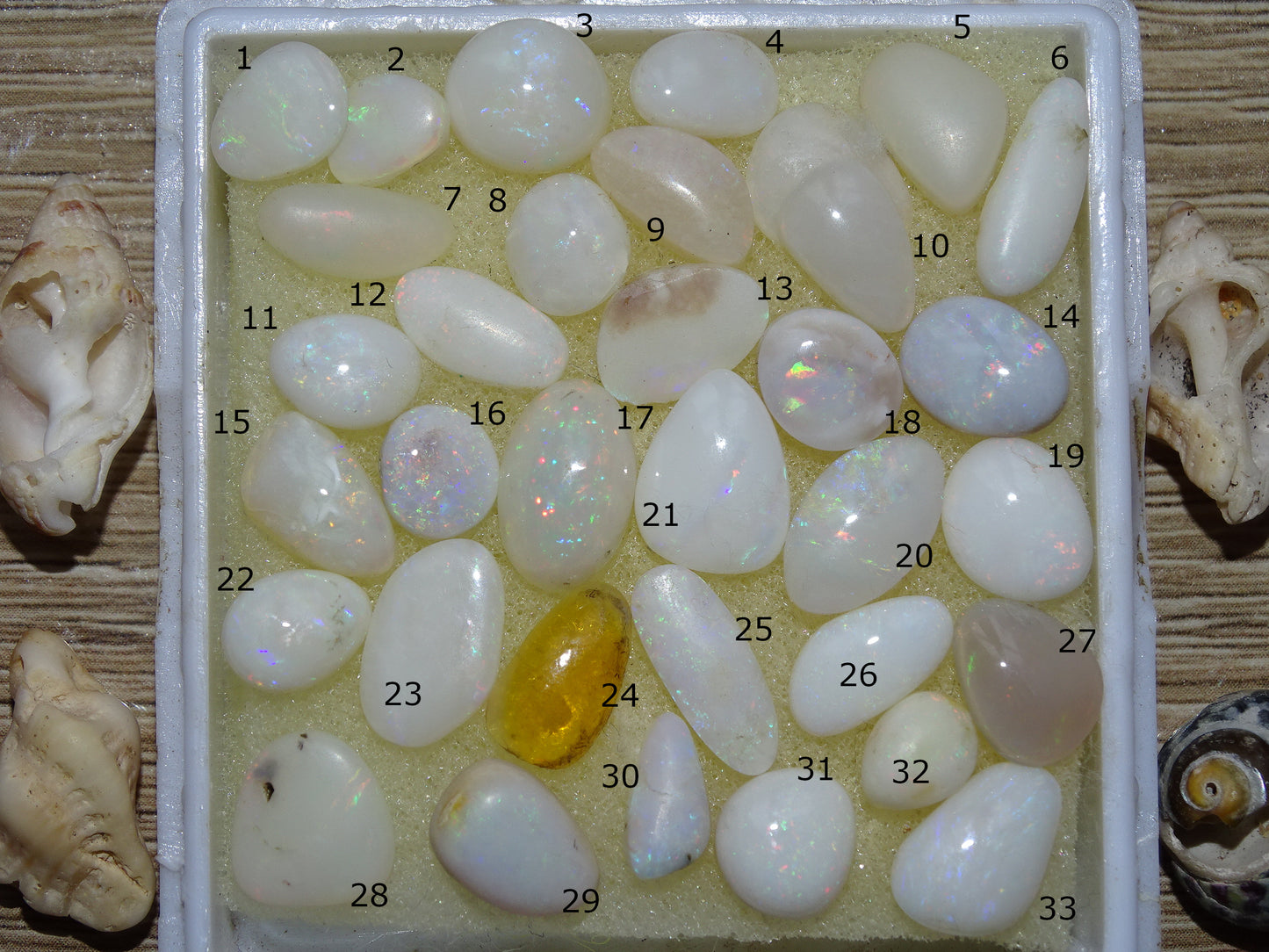 Opale Welo d’Éthiopie, les plus belles des opales. Incroyable reflets multicolore, superbes pièces, parfait pour vos créations, collections, exposition...!