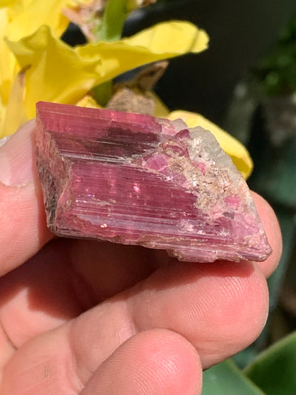 Tourmaline Rubellite, superbe spècimen naturel de 52mm x 35 x 23 - 52 grammes. Parfait en bijouterie, collection ,exposition...