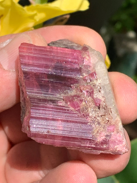 Tourmaline Rubellite, superbe spècimen naturel de 52mm x 35 x 23 - 52 grammes. Parfait en bijouterie, collection ,exposition...