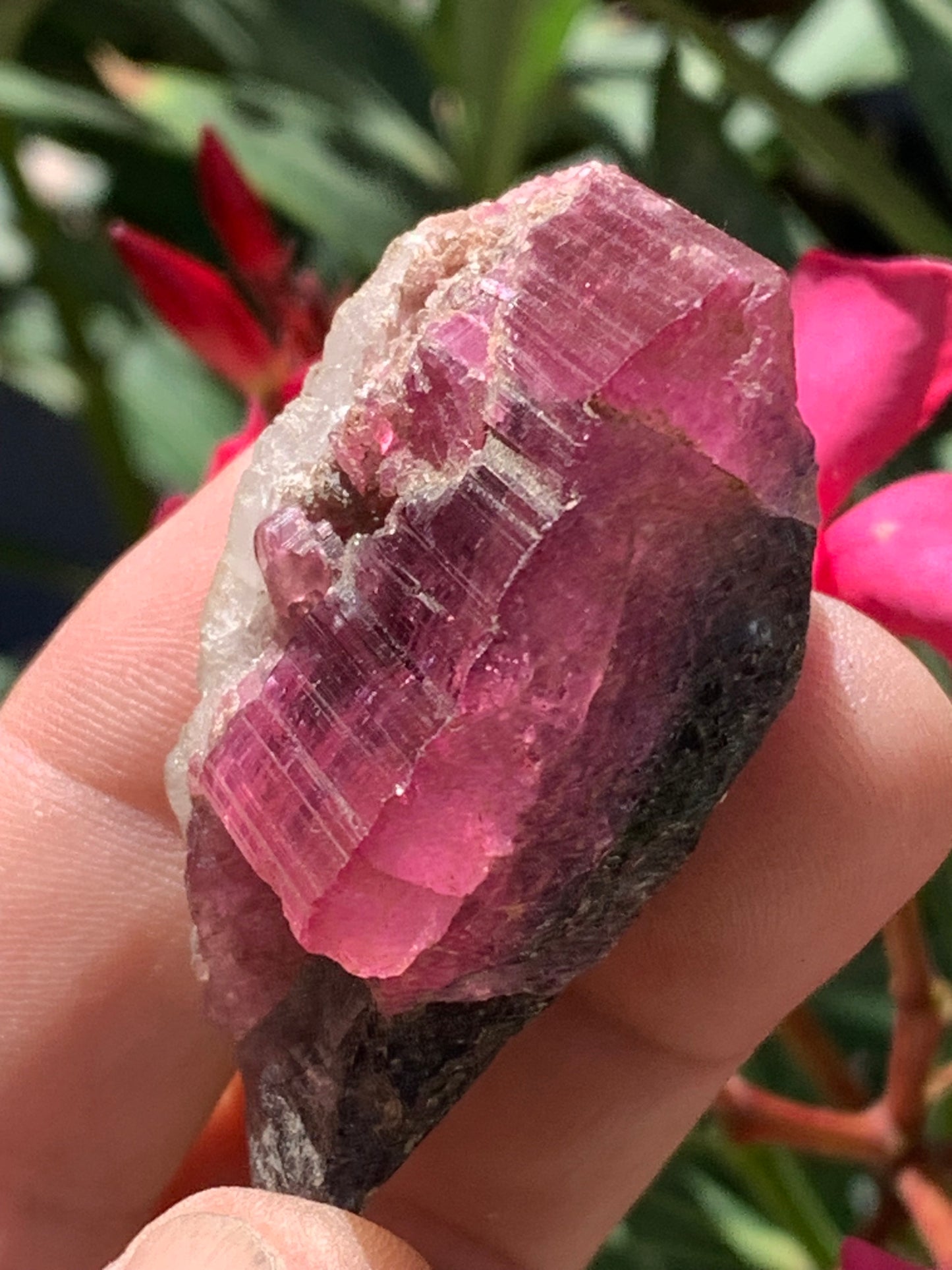 Tourmaline Rubellite, superbe spècimen naturel de 52mm x 35 x 23 - 52 grammes. Parfait en bijouterie, collection ,exposition...