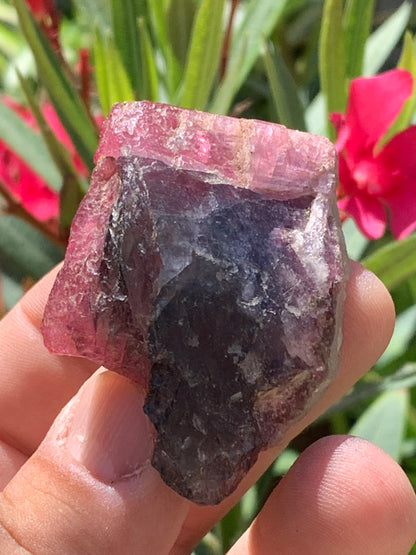 Tourmaline Rubellite, superbe spècimen naturel de 52mm x 35 x 23 - 52 grammes. Parfait en bijouterie, collection ,exposition...