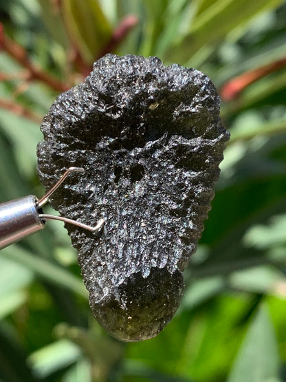 Moldavite/ Tectite verte authentique, de 33mm x 23 x 11 - 7,8 grammes. Le must en matière de pierre de la famille des météorites et tectites. Fascinant, envoutant, hypnotisant !