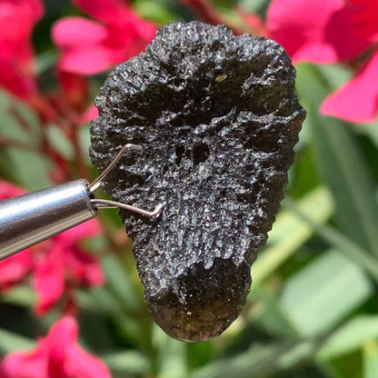 Moldavite/ Tectite verte authentique, de 33mm x 23 x 11 - 7,8 grammes. Le must en matière de pierre de la famille des météorites et tectites. Fascinant, envoutant, hypnotisant !