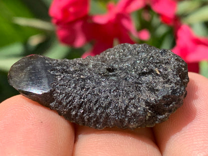 Moldavite/ Tectite verte authentique, de 33mm x 23 x 11 - 7,8 grammes. Le must en matière de pierre de la famille des météorites et tectites. Fascinant, envoutant, hypnotisant !