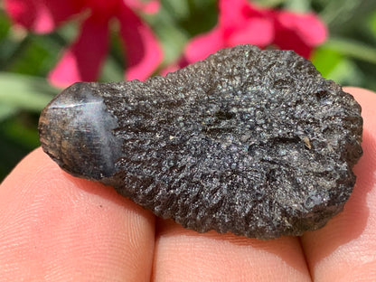 Moldavite/ Tectite verte authentique, de 33mm x 23 x 11 - 7,8 grammes. Le must en matière de pierre de la famille des météorites et tectites. Fascinant, envoutant, hypnotisant !