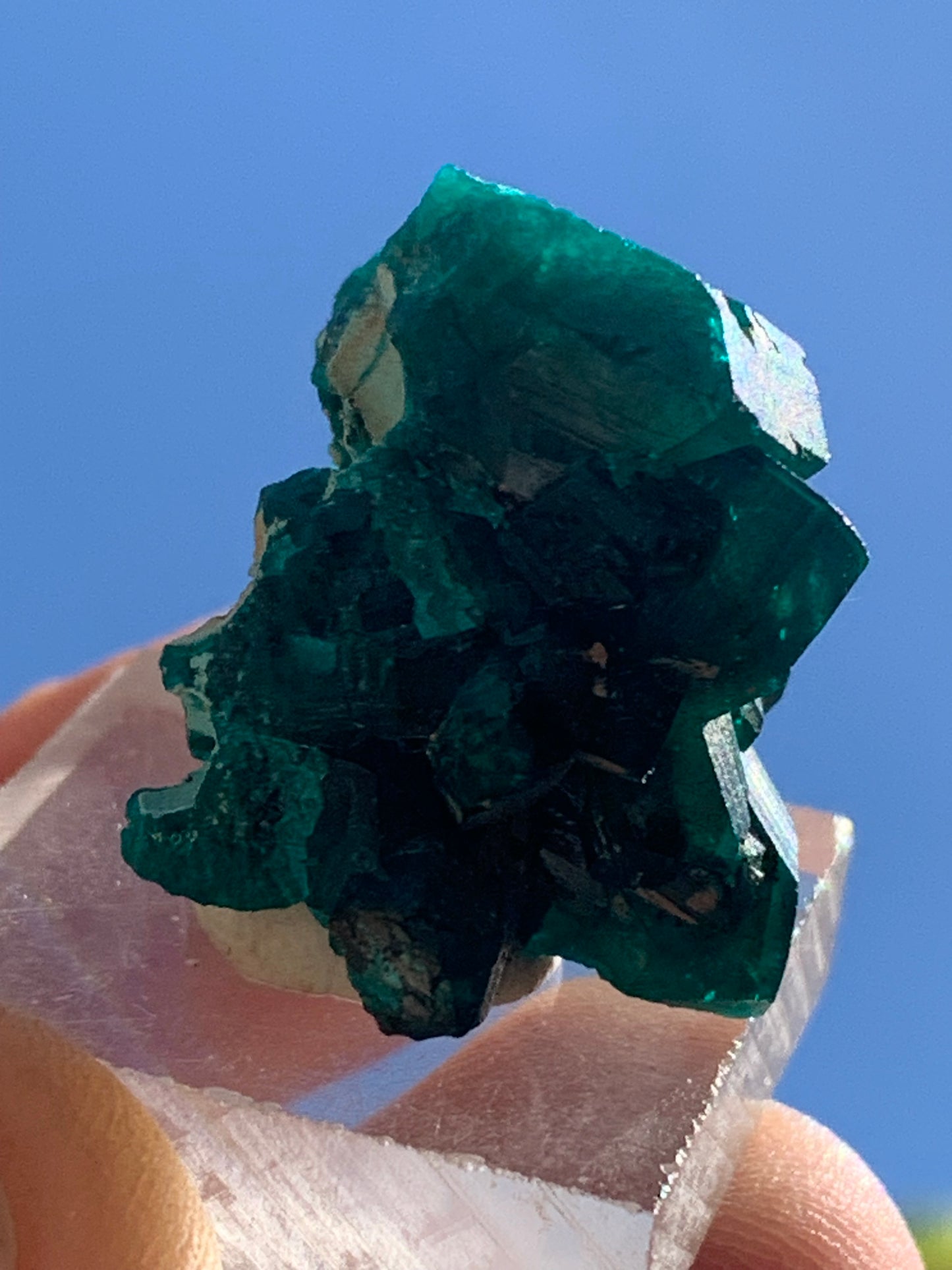 Dioptase, spécimen cristalisé de 24mm x 21 x 21 - 10 grammes ! Rare et puissante en minéralogie et lithothérapie !