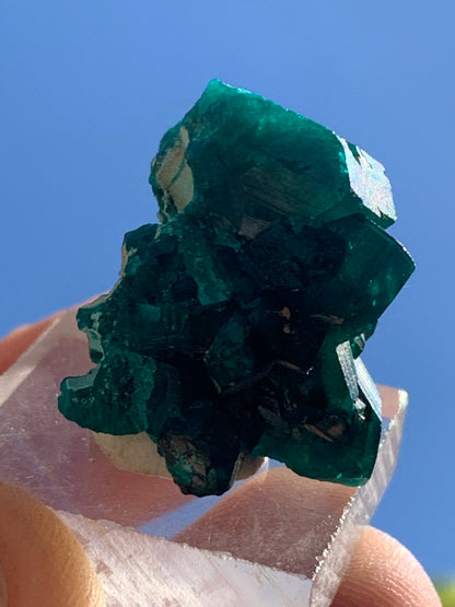 Dioptase, spécimen cristalisé de 24mm x 21 x 21 - 10 grammes ! Rare et puissante en minéralogie et lithothérapie !