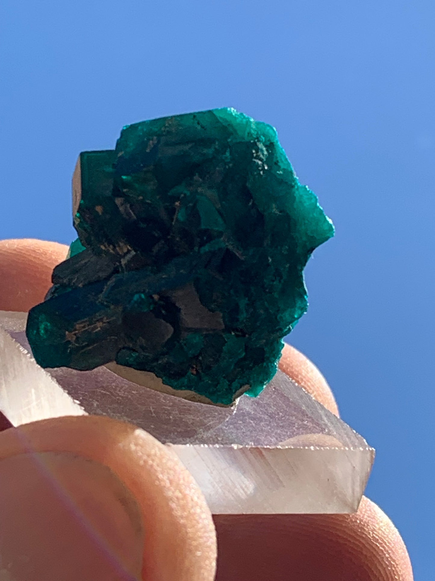Dioptase, spécimen cristalisé de 24mm x 21 x 21 - 10 grammes ! Rare et puissante en minéralogie et lithothérapie !
