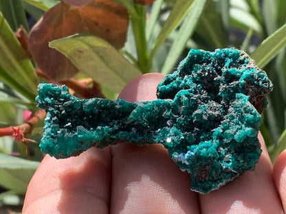 Dioptase, spécimen cristalisé de 52mm x 36 x 24 - 16 grammes ! Rare et puissante en minéralogie et lithothérapie !