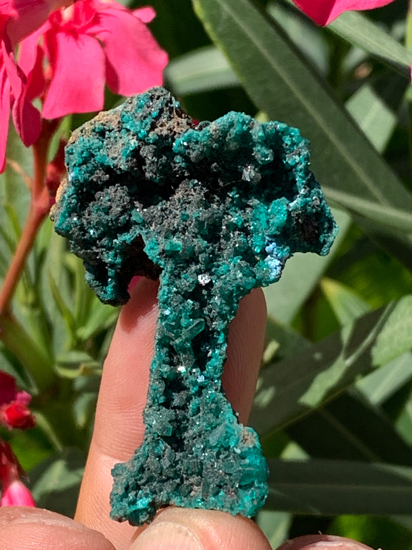 Dioptase, spécimen cristalisé de 52mm x 36 x 24 - 16 grammes ! Rare et puissante en minéralogie et lithothérapie !