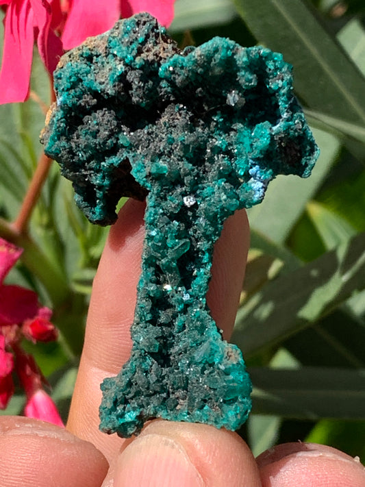 Dioptase, spécimen cristalisé de 52mm x 36 x 24 - 16 grammes ! Rare et puissante en minéralogie et lithothérapie !