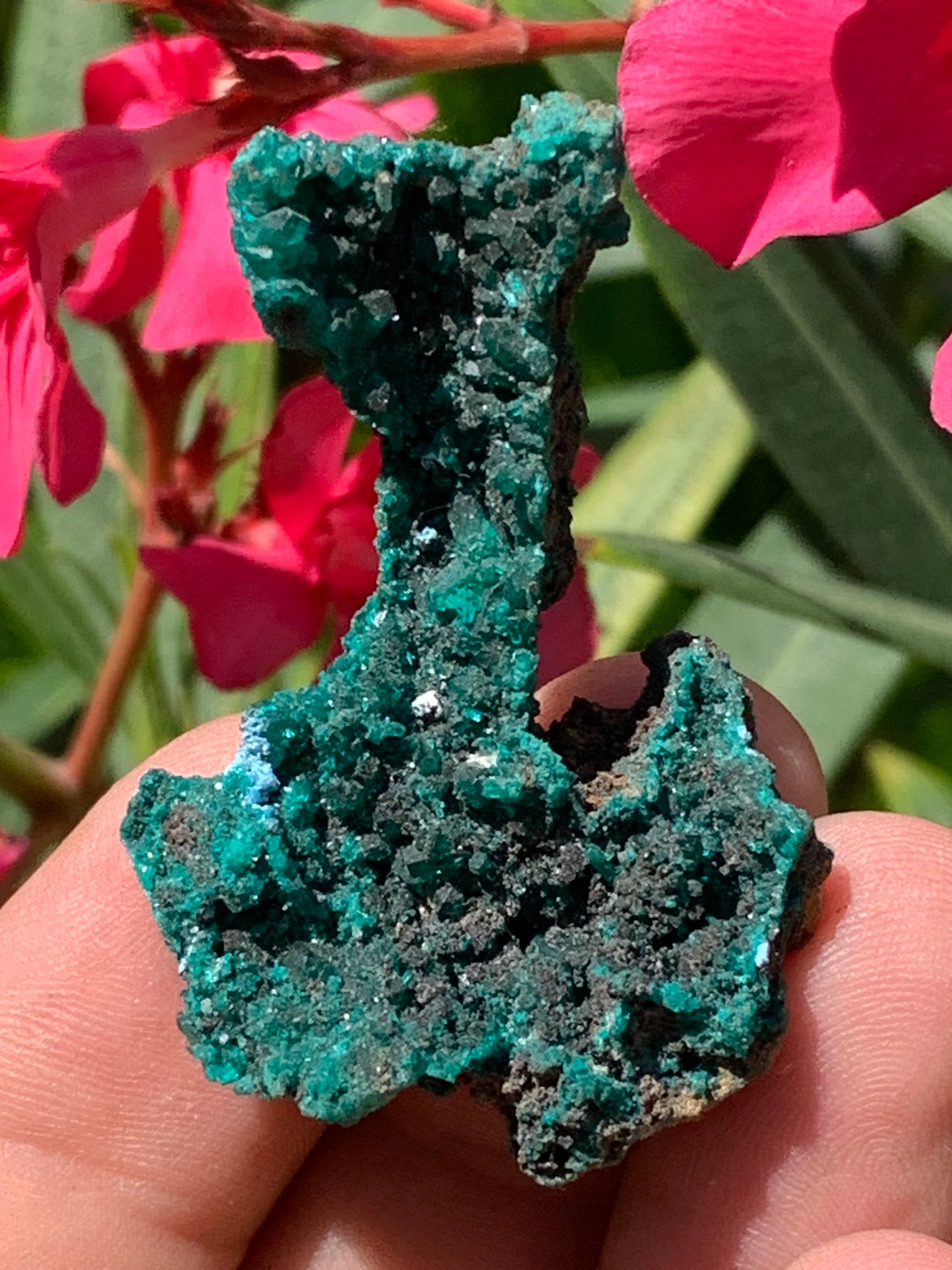 Dioptase, spécimen cristalisé de 52mm x 36 x 24 - 16 grammes ! Rare et puissante en minéralogie et lithothérapie !